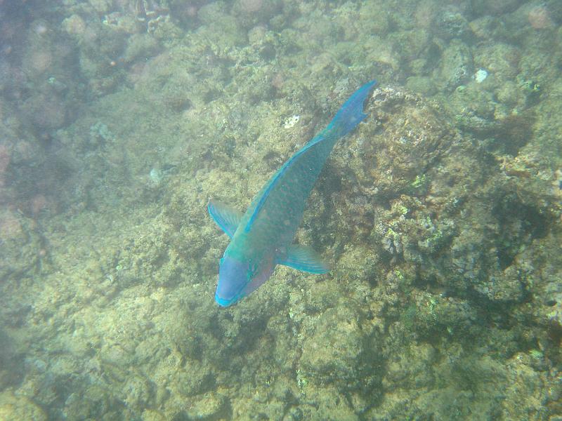 Picture 073